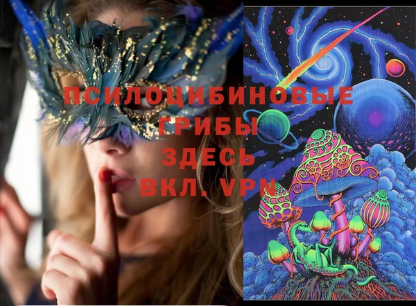 спиды Беломорск