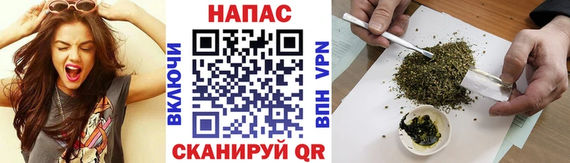 MEGA ONION Елизово МАРИХУАНА семена магазин